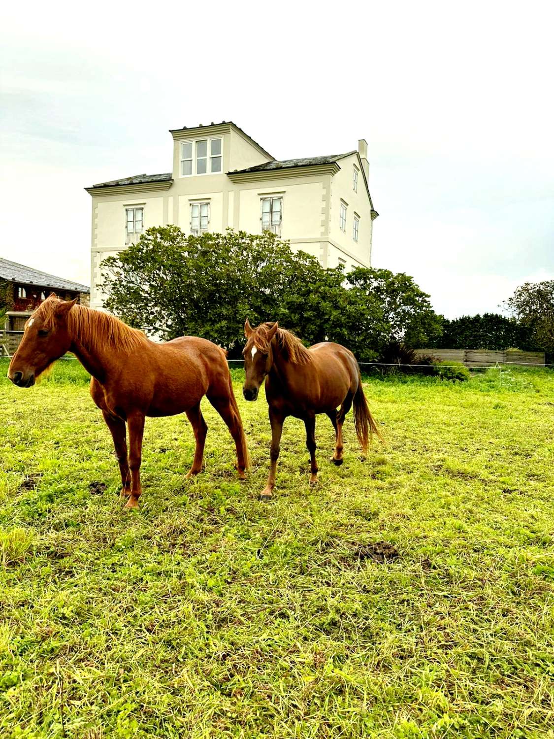 IMPONERENDE INDIANA HUS I DET VESTLIGE ASTURIEN