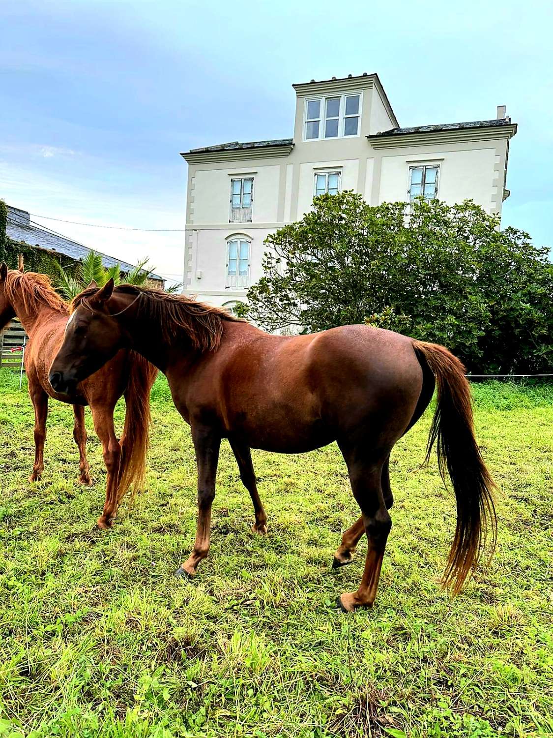 IMPONERENDE INDIANA HUS I DET VESTLIGE ASTURIEN