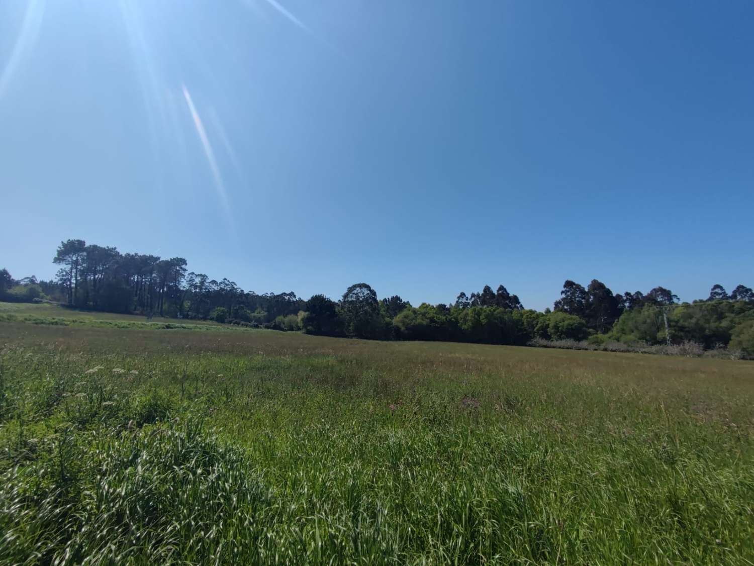 BUILDING PLOTS NEXT TO TAPIA DE CASARIEGO