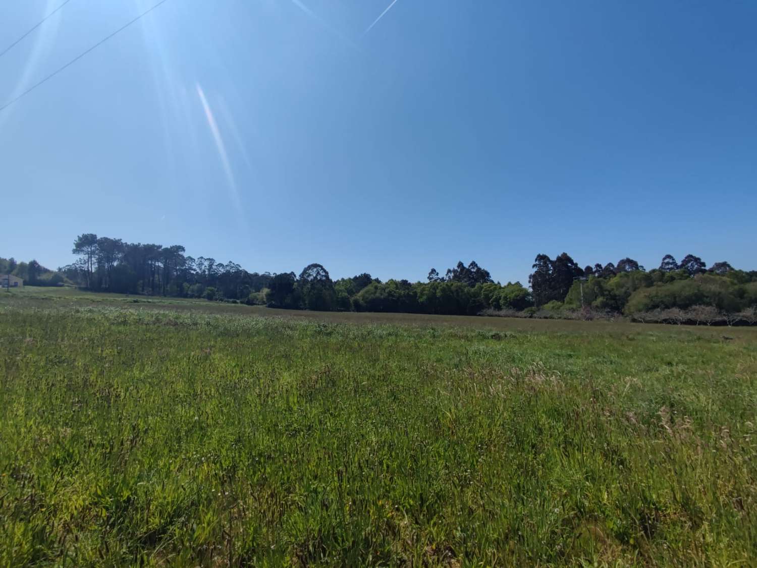 BUILDING PLOTS NEXT TO TAPIA DE CASARIEGO