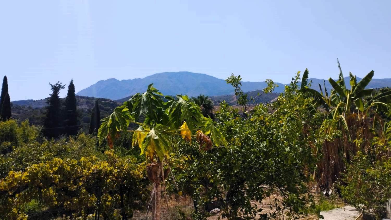 Finca traditionnelle dans la région d’Estepona.