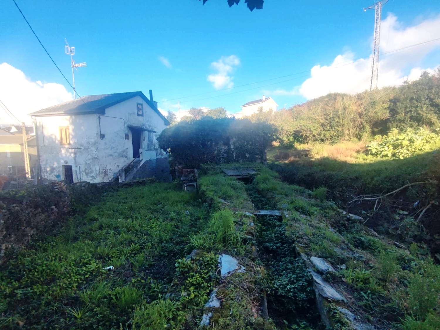 SUURI TILAISUUS PUERTO DE VEGAN SATAMASSA, NAVIA