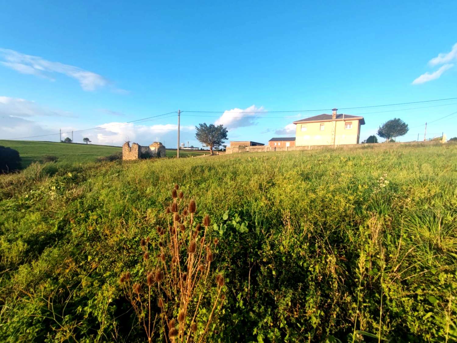 LARGE BUILDING PLOT IN LA VENTOSA, MÁNTARAS (TAPIA DE CASARIEGO)