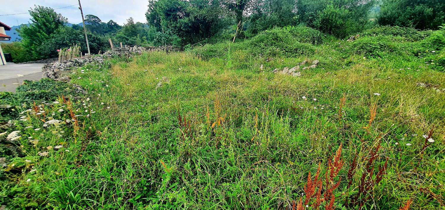 KAUNIS FINCA, JOSTA ON NÄKYMÄT LAAKSOON CACESISSA (LAS CALDAS)