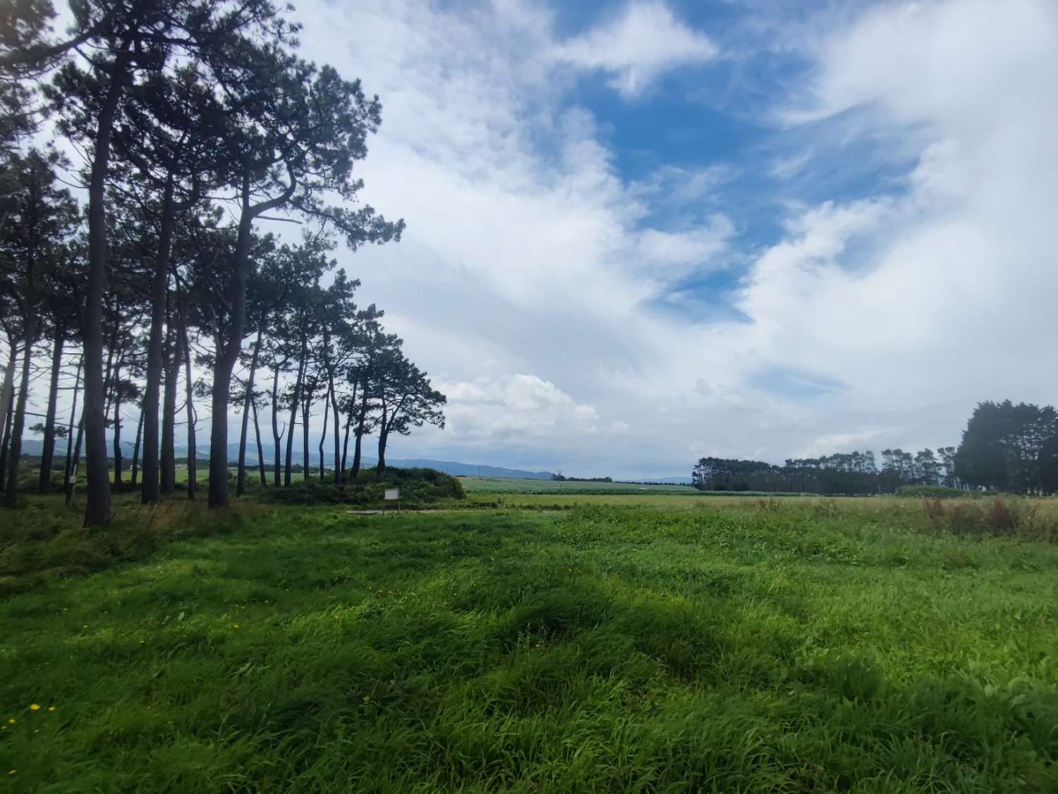 TERRAIN À BÂTIR À LA REBURDIA, TAPIA DE CASARIEGO