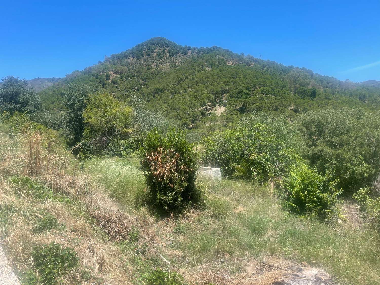 Baugrundstück zum Verkauf in Ojen- Costa Del Sol