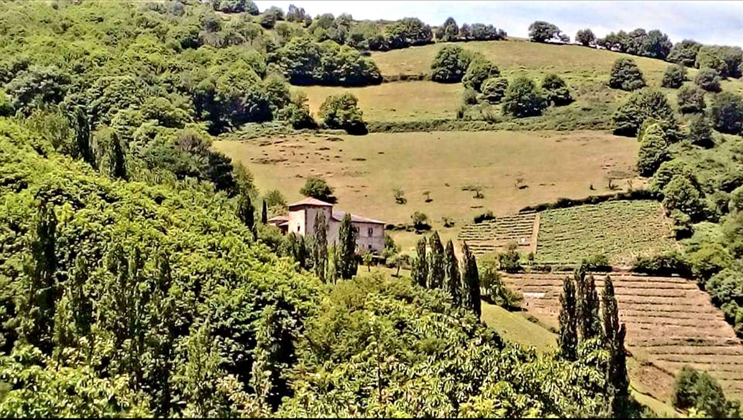 HUIS TE KOOP IN LIMÉS, CANGAS DEL NARCEA