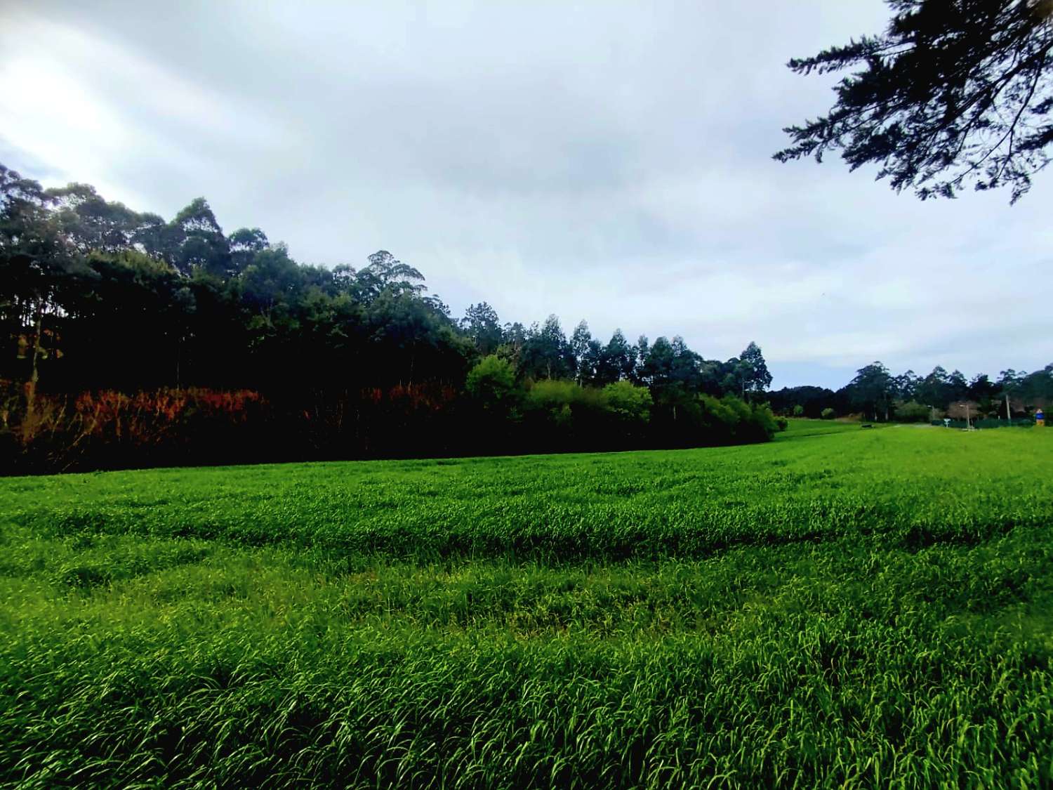 Building plot in Otur, near the beach