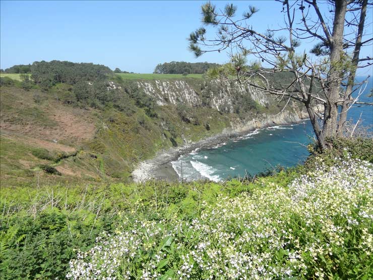 Grand terrain à bâtir à Otur près de la plage