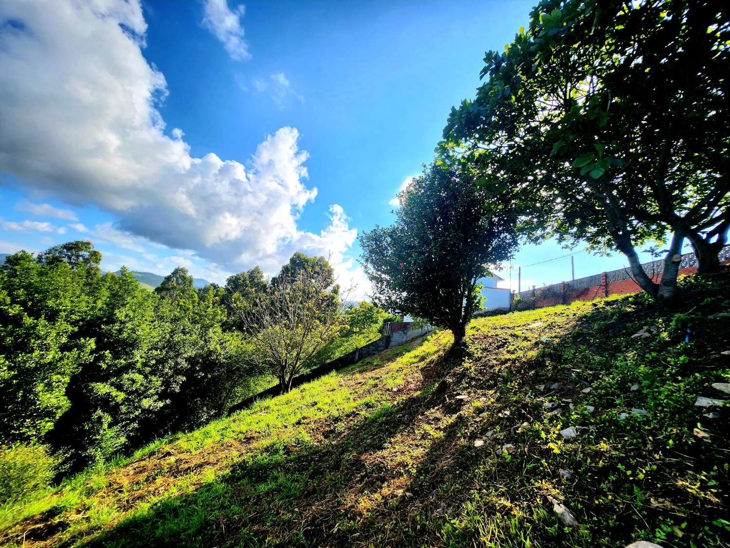 Talo ja Finca myytävänä Luarca