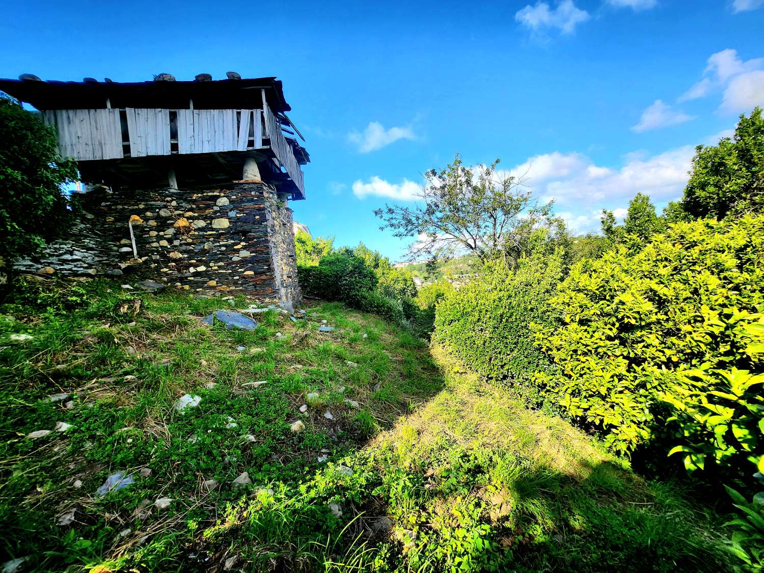 Hus og finca til salg i Luarca