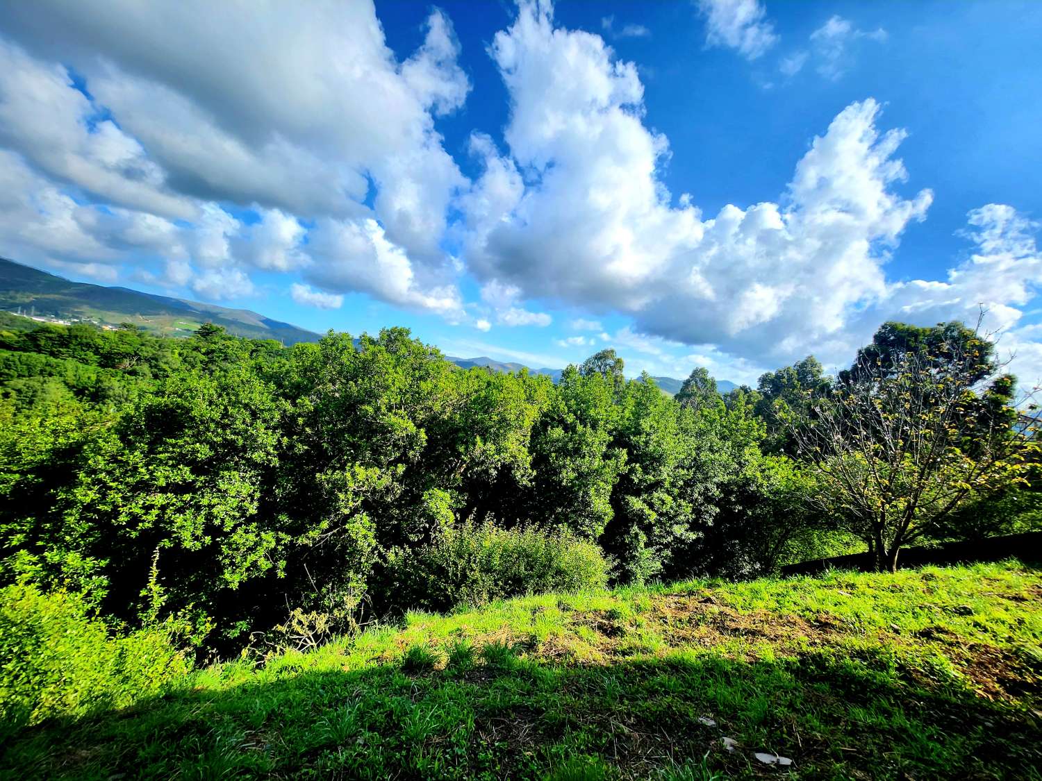 Casa y Finca en Venta en Luarca