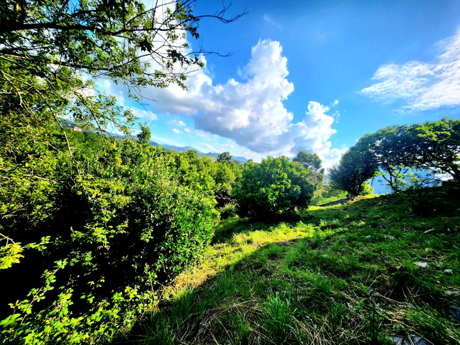 Talo ja Finca myytävänä Luarca