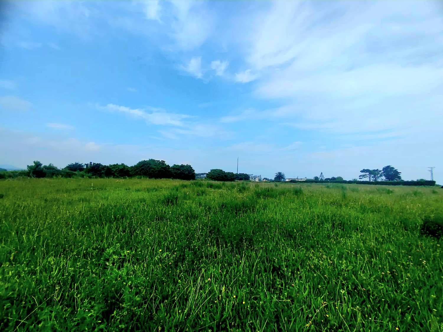 大地块，可欣赏塔皮亚德卡萨列戈海滩的景色