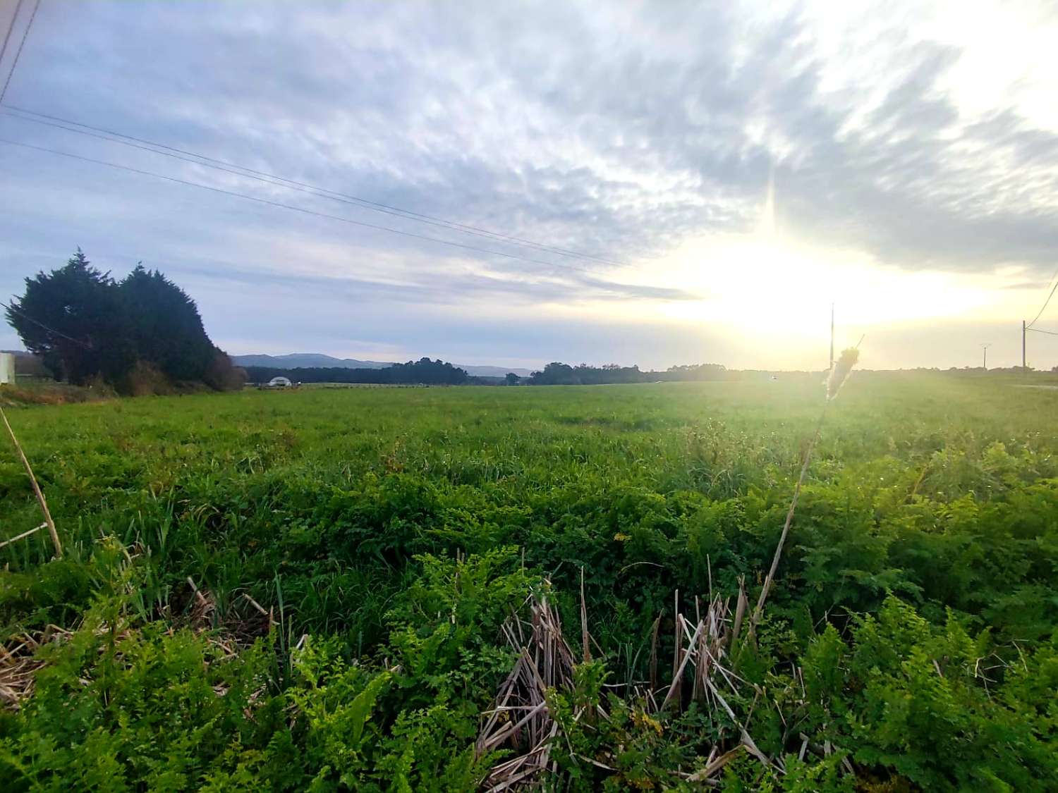 GRAND TERRAIN À BÂTIR EN PISÉ DE CASARIEGO