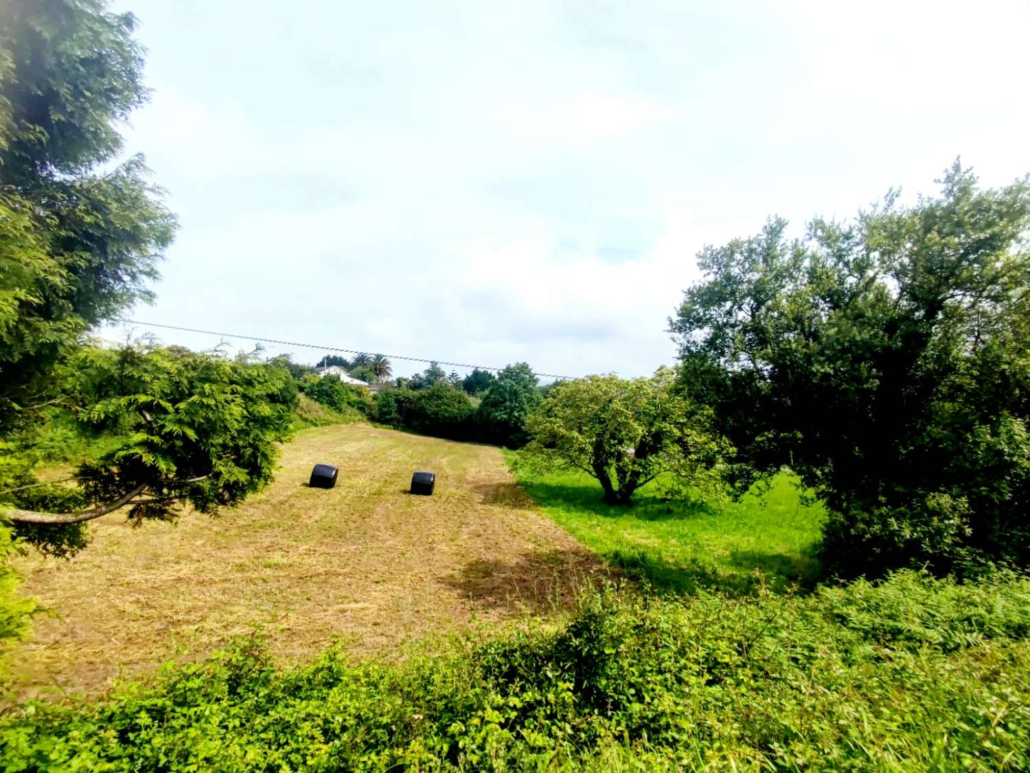 GROOT BEBOUWBAAR LAND IN SERANTES