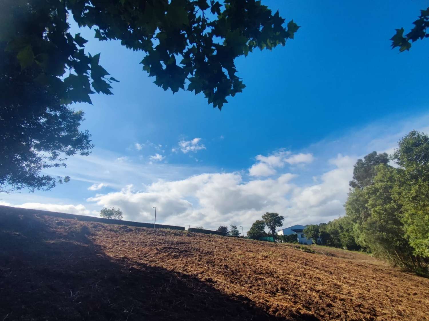 BOUWGROND IN CALAMBRE, TAPIA DE CASARIEGO