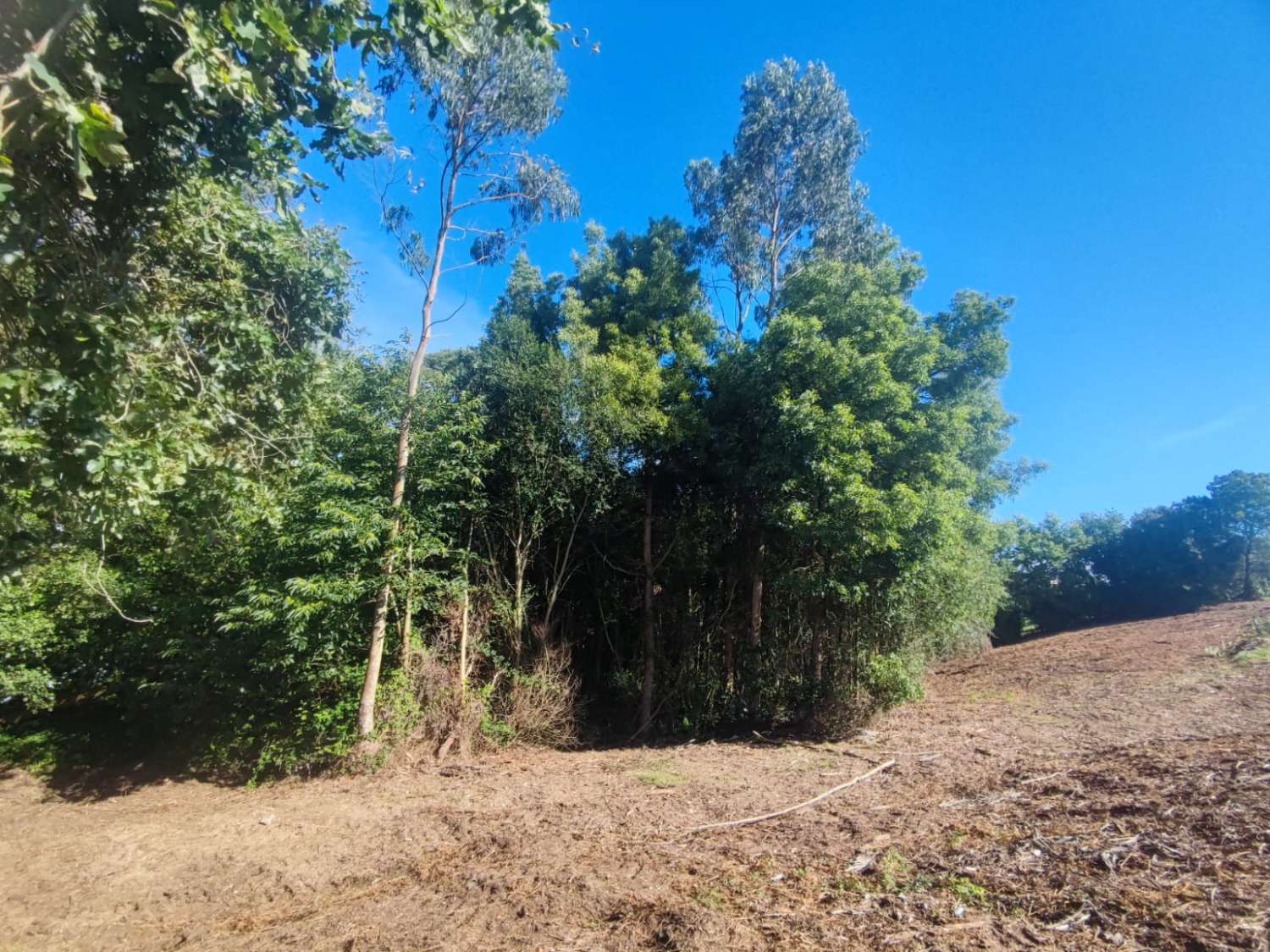 BUILDING PLOT IN CALAMBRE, TAPIA DE CASARIEGO