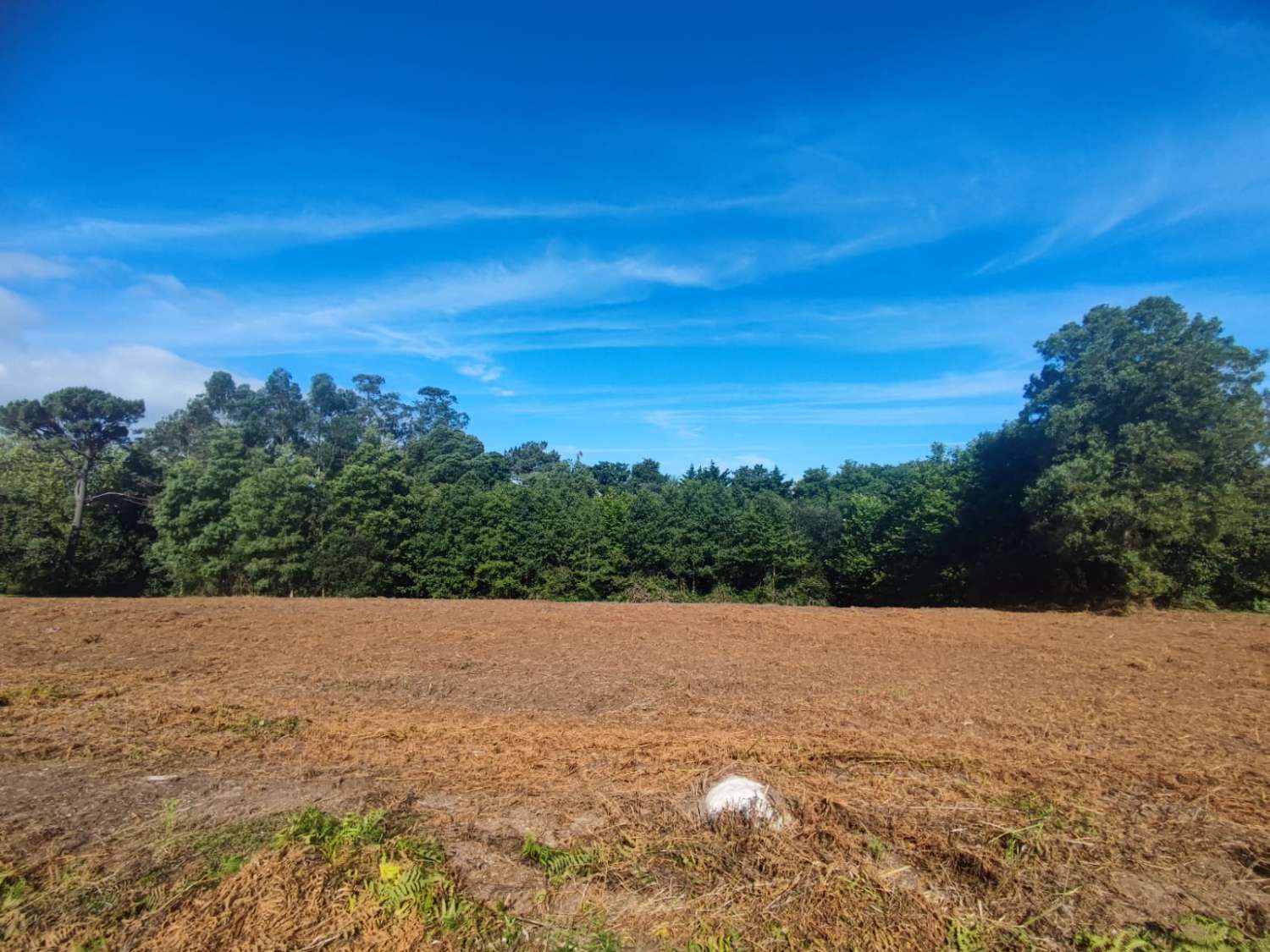 BUILDING PLOT IN CALAMBRE, TAPIA DE CASARIEGO