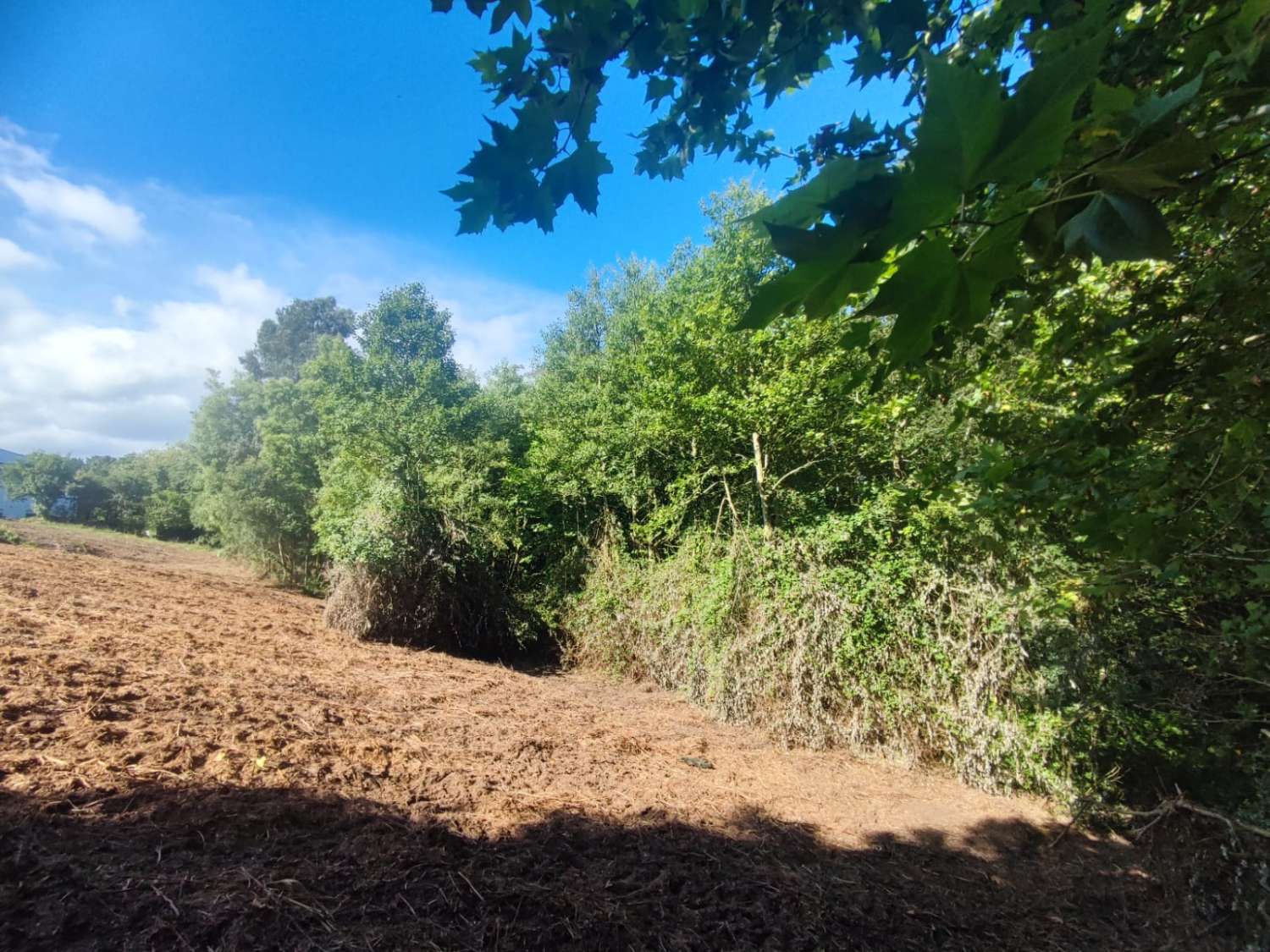 BOUWGROND IN CALAMBRE, TAPIA DE CASARIEGO