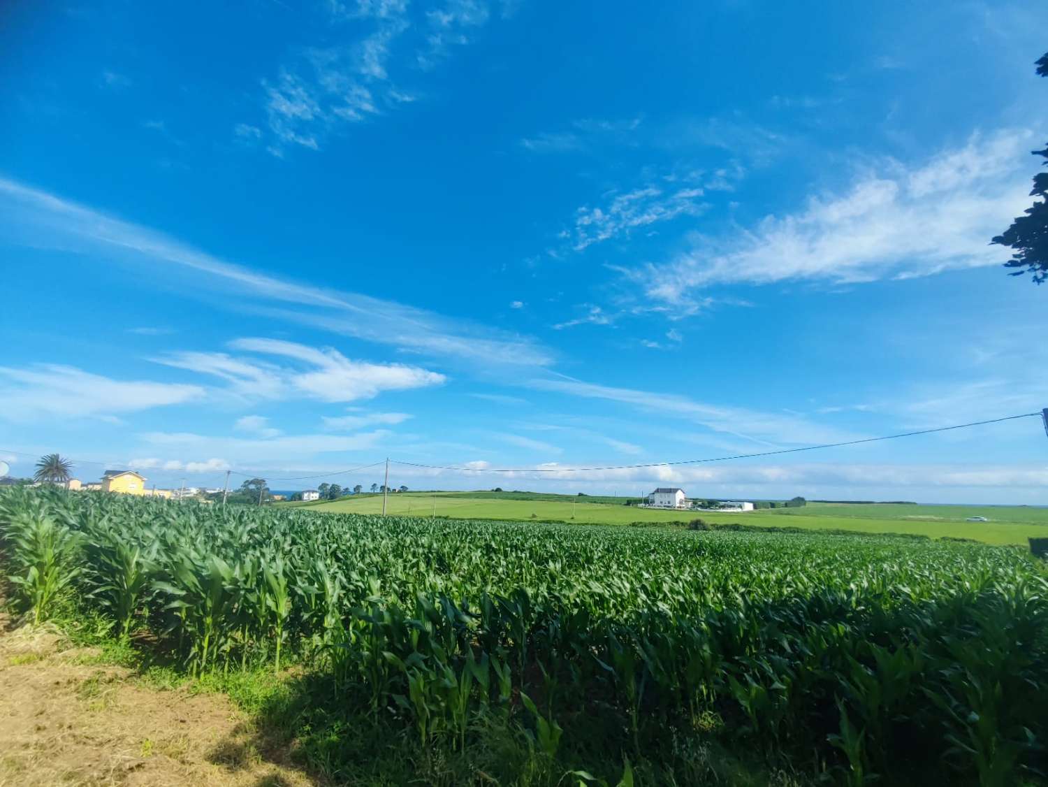 LARGE DEVELOPABLE LAND IN TAPIA DE CASARIEGO