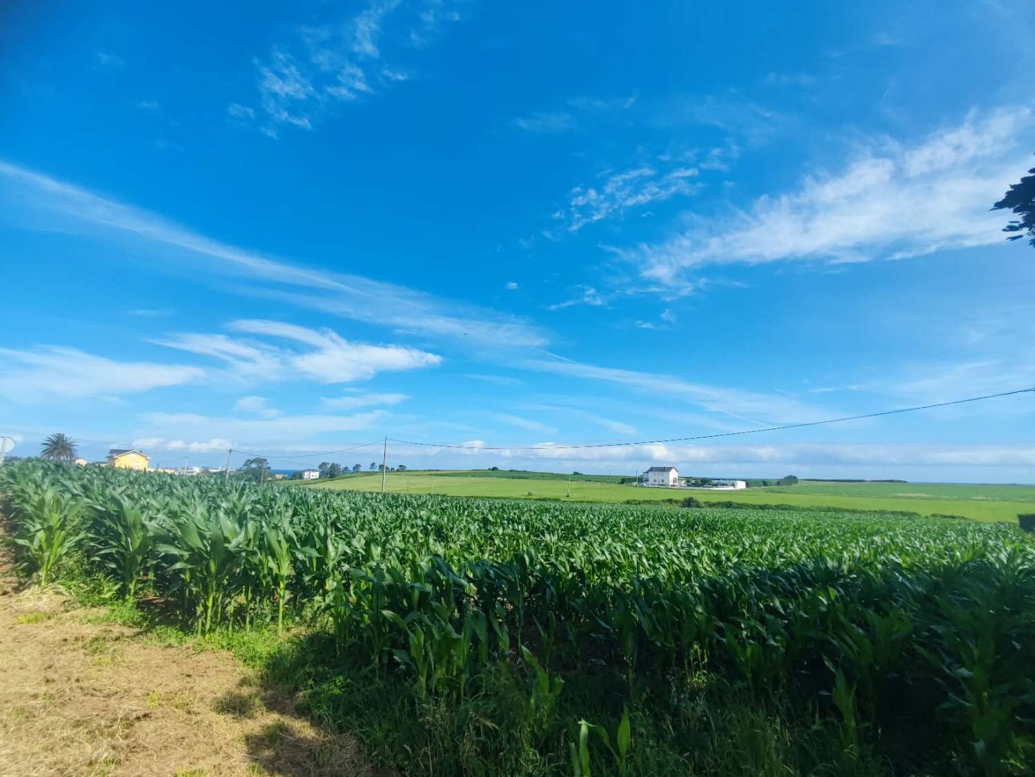 STORT UTBYGGBART LAND I TAPIA DE CASARIEGO