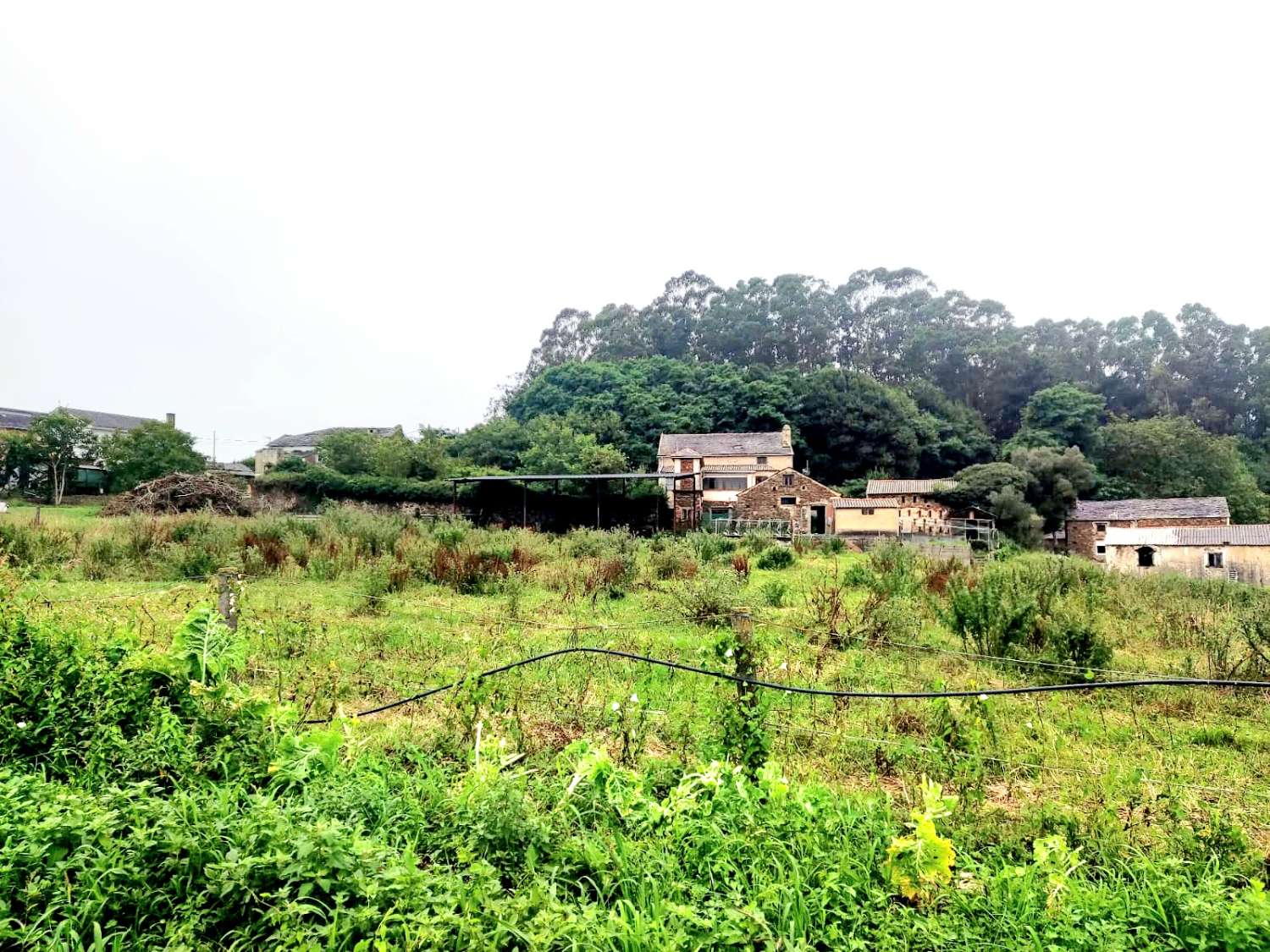 GROSSES EINFAMILIENHAUS IN TAPIA DE CASARIEGO