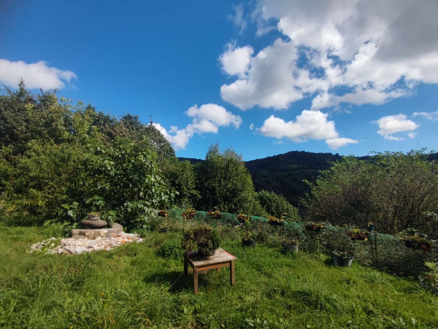 ¡Edificaciones y fincas! Ideal para proyecto agrícola y ganadero