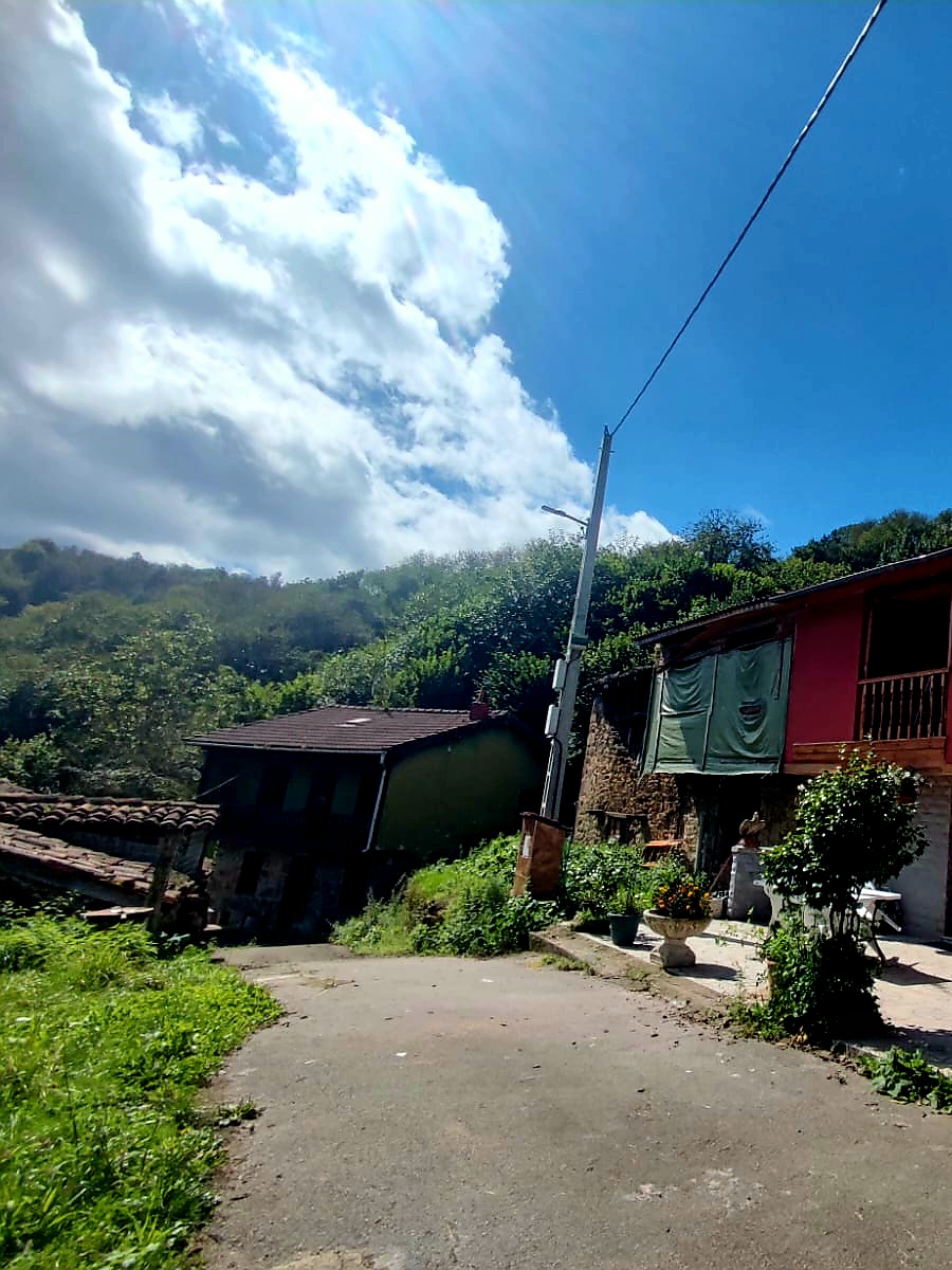 ¡Fincas con edificaciones! ¡Ideal para proyecto agrícola y ganadero!