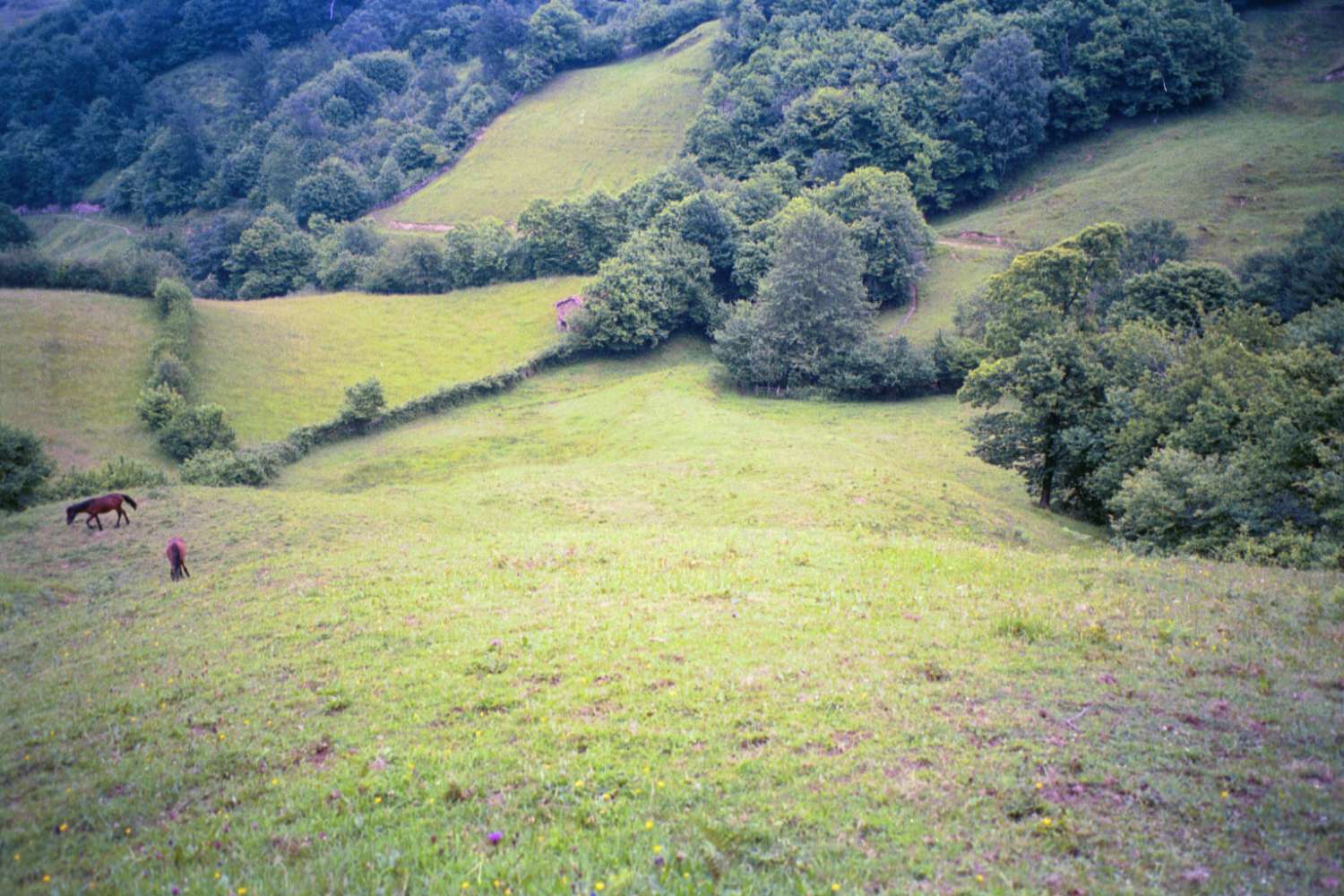 Fincas avec des bâtiments ! Idéal pour les projets agricoles et d’élevage !