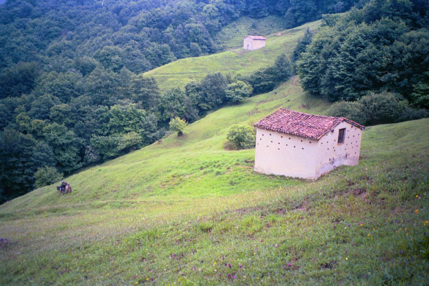 Fincas avec des bâtiments ! Idéal pour les projets agricoles et d’élevage !