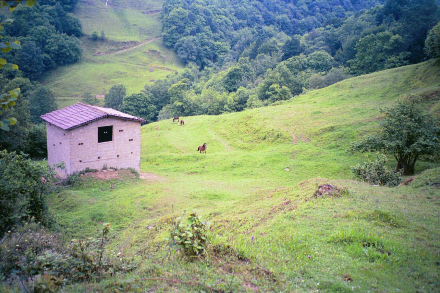 Fincas avec des bâtiments ! Idéal pour les projets agricoles et d’élevage !