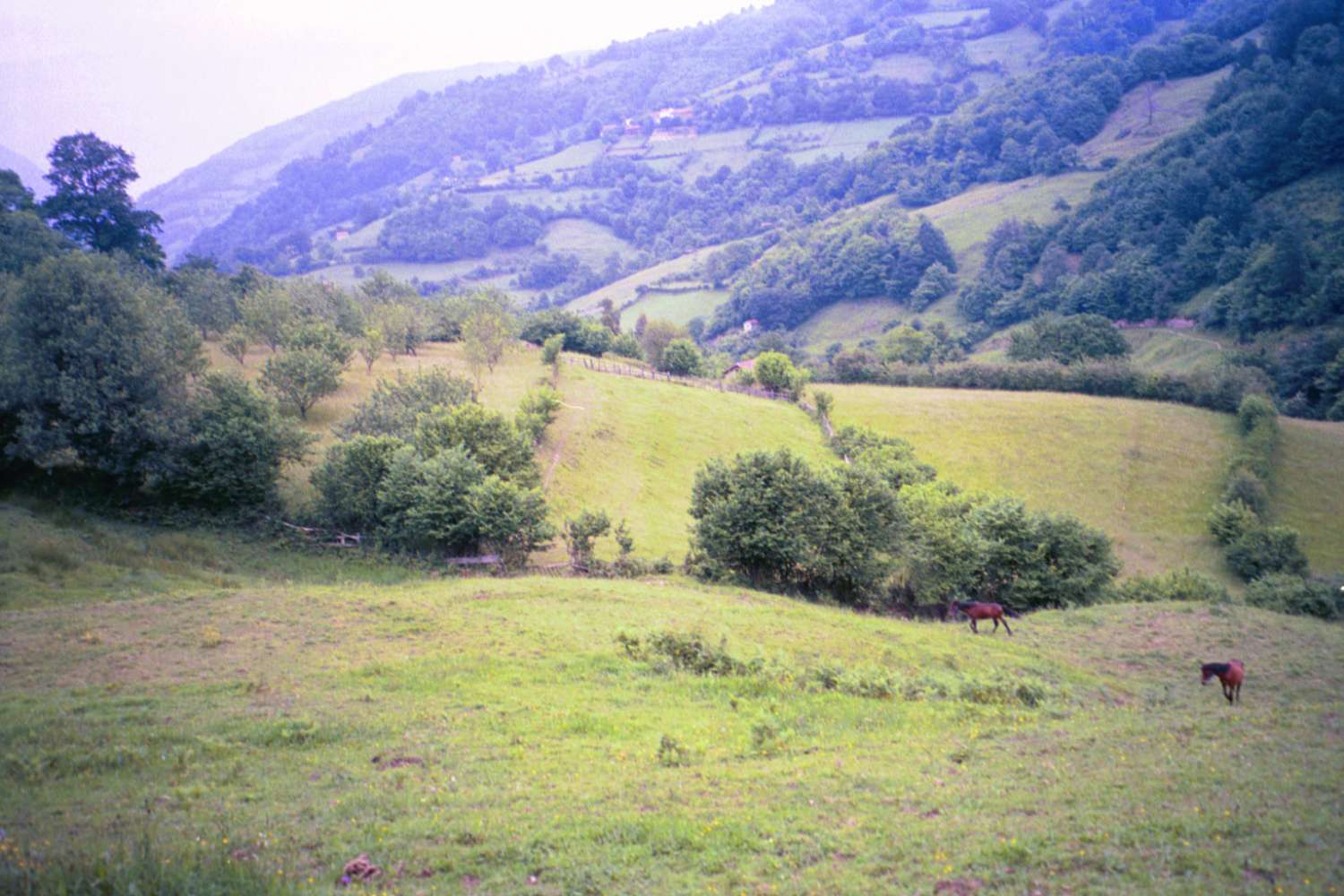 Fincas avec des bâtiments ! Idéal pour les projets agricoles et d’élevage !