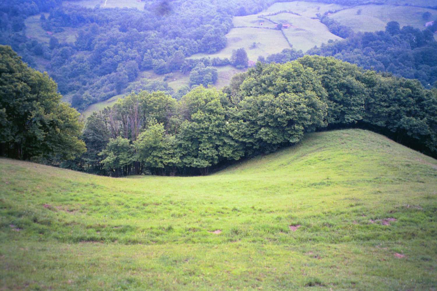 Fincas avec des bâtiments ! Idéal pour les projets agricoles et d’élevage !