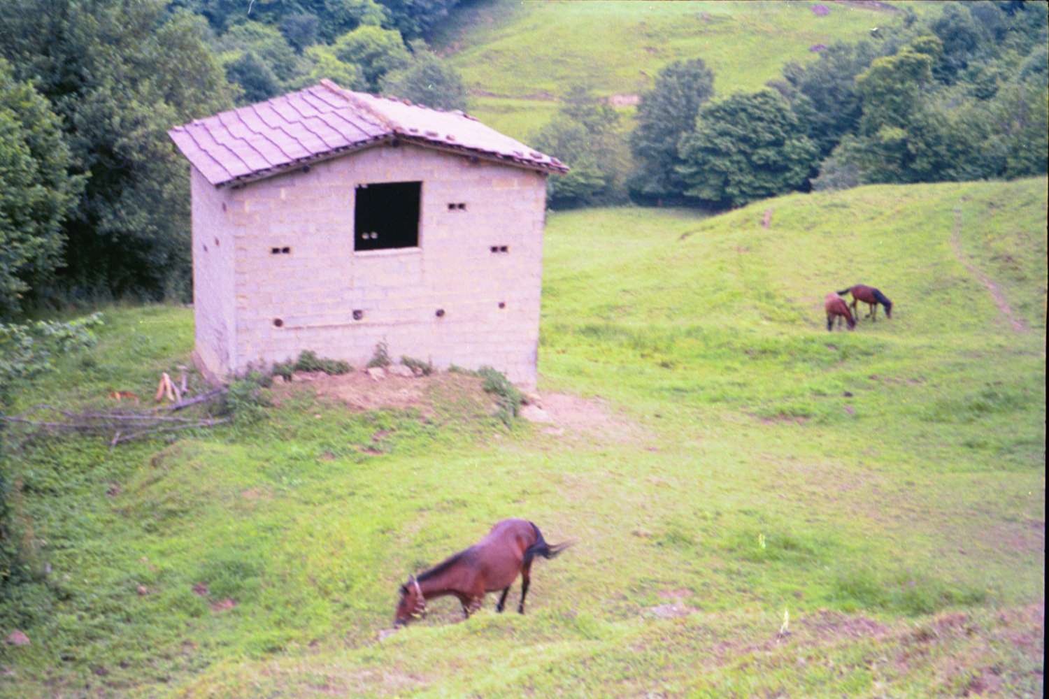 Fincas avec des bâtiments ! Idéal pour les projets agricoles et d’élevage !