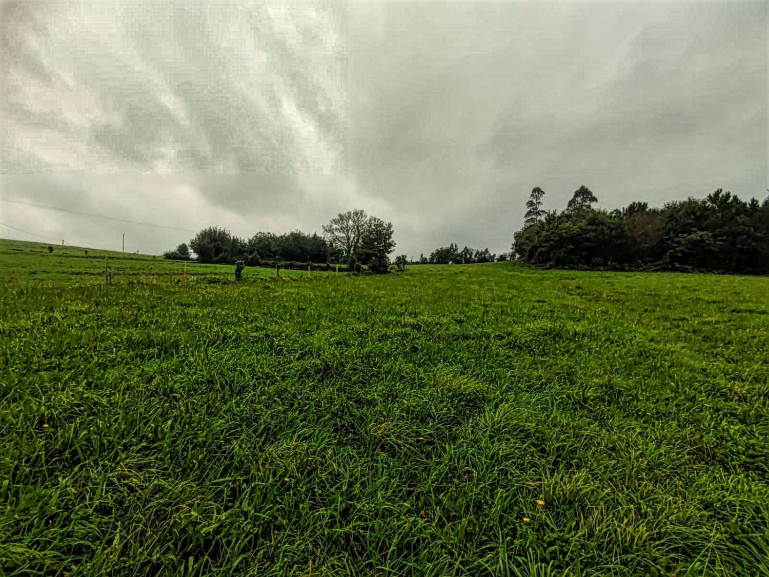 Building plot with spectacular views of the coast