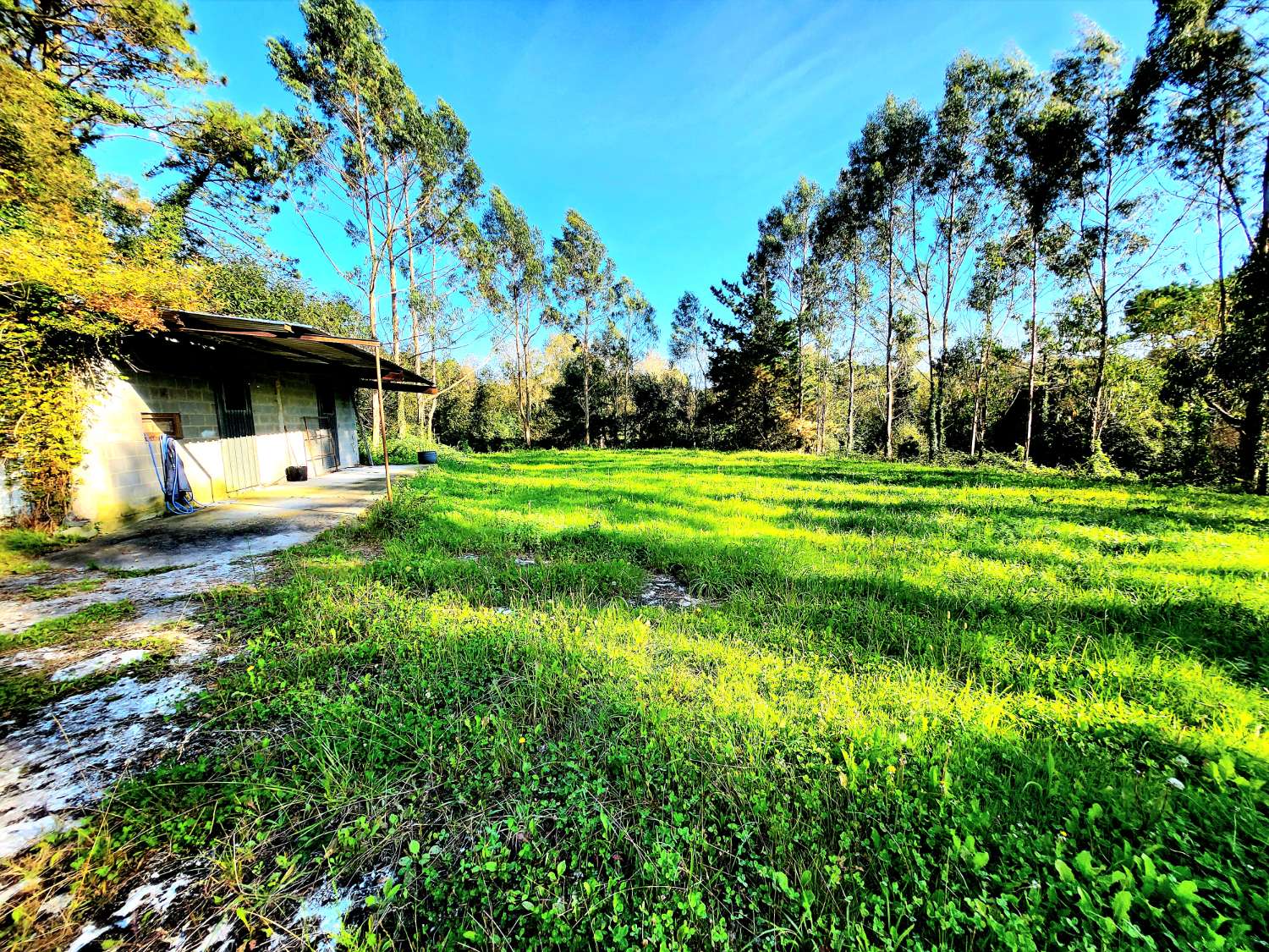 !! OPPORTUNITÉ UNIQUE À CARTAVIO !! MAISON À VENDRE AVEC UN VASTE TERRAIN