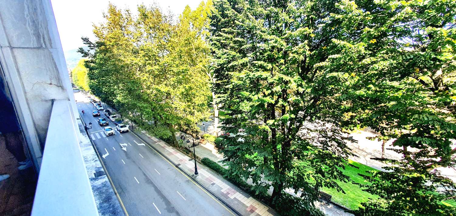 Groot appartement te huur met prachtig uitzicht op de Campo de San Francisco