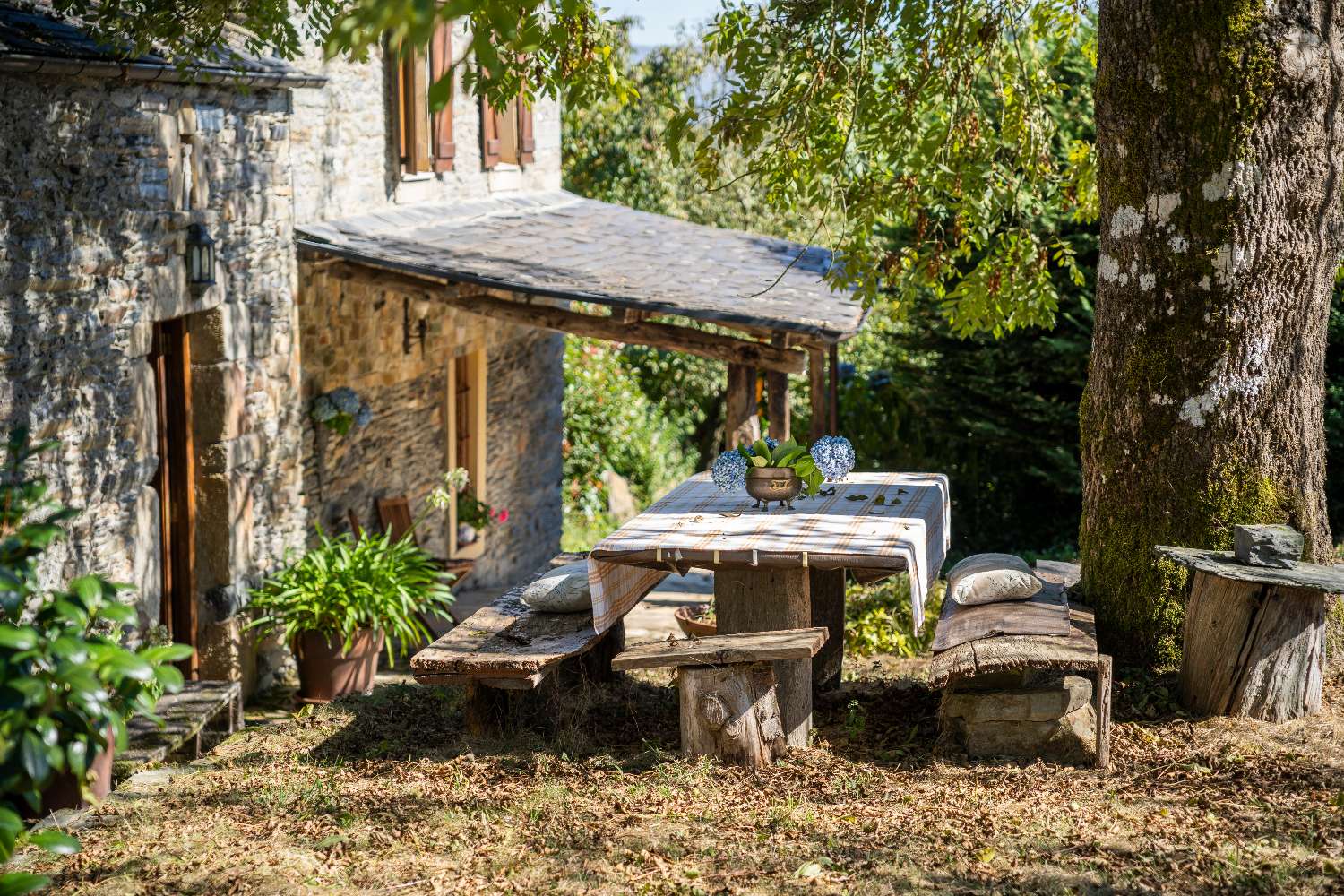 Preciosa Casa Rural en Revoqueira, San Martín de Oscos: Una Joya para Turismo Natural y Retiros