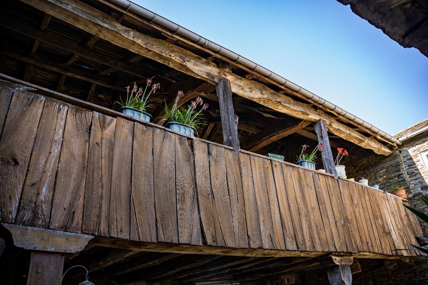 Preciosa Casa Rural en Revoqueira, San Martín de Oscos: Una Joya para Turismo Natural y Retiros