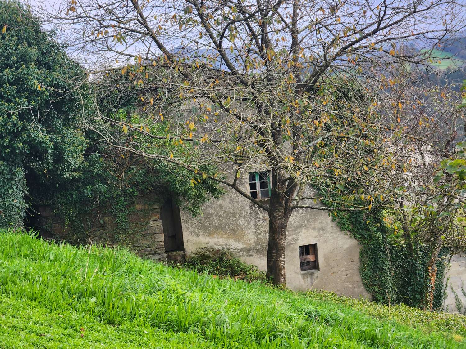 LOREDO 的房屋、教堂和 FINCA 待售